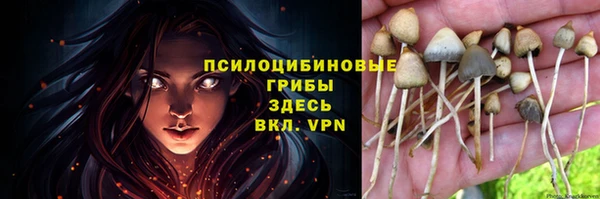 прущие крисы Абдулино