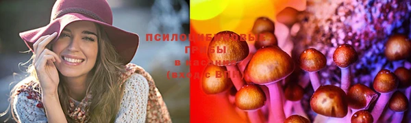 прущие крисы Абдулино
